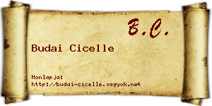 Budai Cicelle névjegykártya